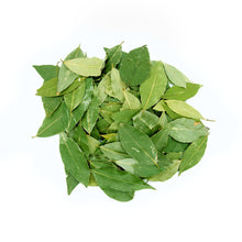 Φορτωση εικόνας σε προβολή Gallery, φύλλα δάφνης φωτογραφία 4